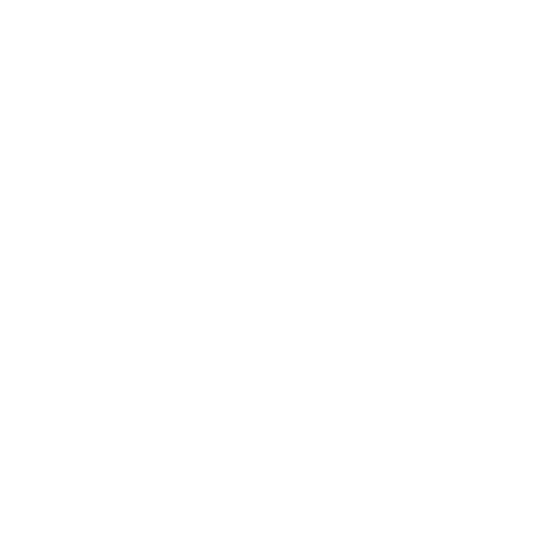 Schmidt Logo white